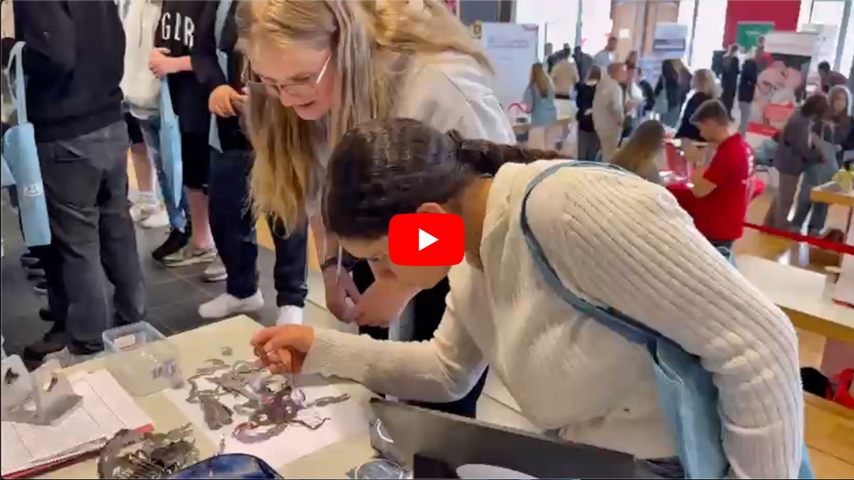 Dritte AZUBIpoint Berufsmesse in Twistringen – Der Berufseinstieg zum Anfassen!